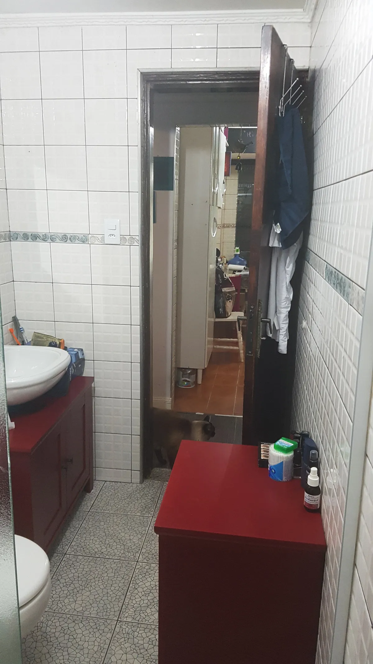 Banheiro antigo com azulejo branco, gabinetes vermelhos, piso de caco de mármore e gato siamês na porta, antes da reforma