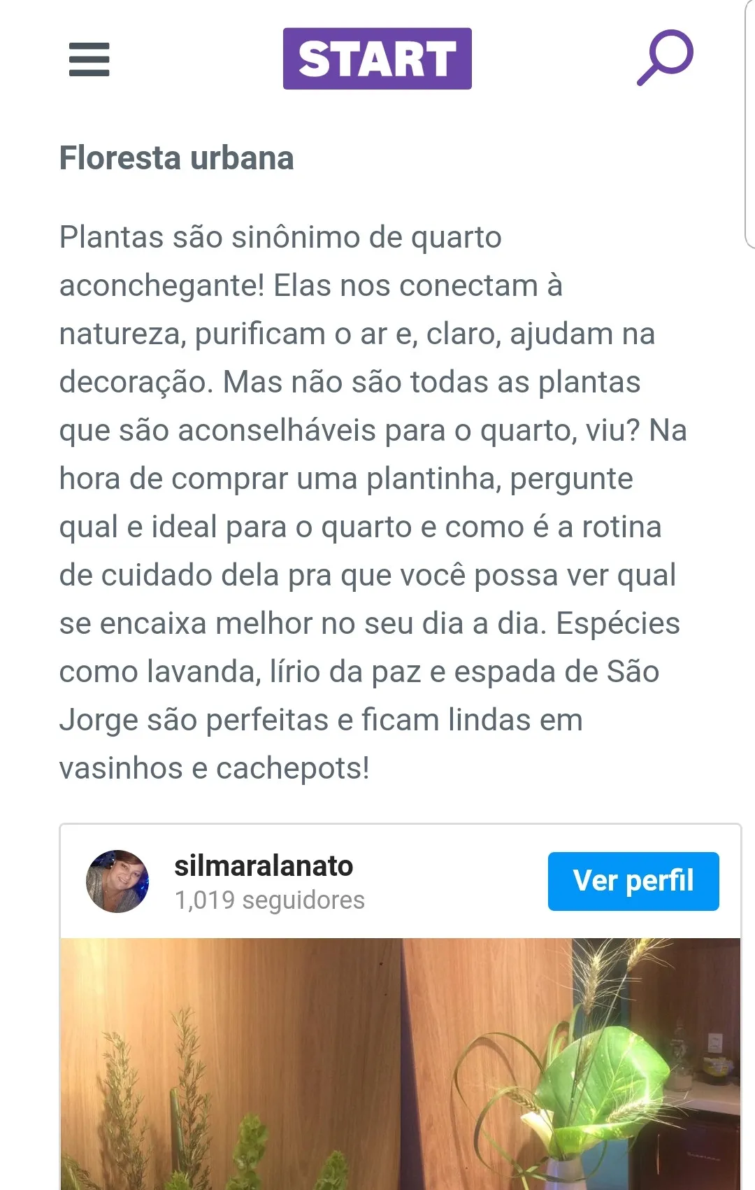Seguradora Youse — página 11 de 14 da matéria